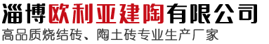 重慶勝利控股有限公司